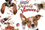Rádio Europa 2 rozdáva aj psím útulkom vianočnú nádielku Rádio Europa 2 rozdáva aj psím útulkom vianočnú nádielku