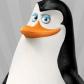 Kowalski Kowalski